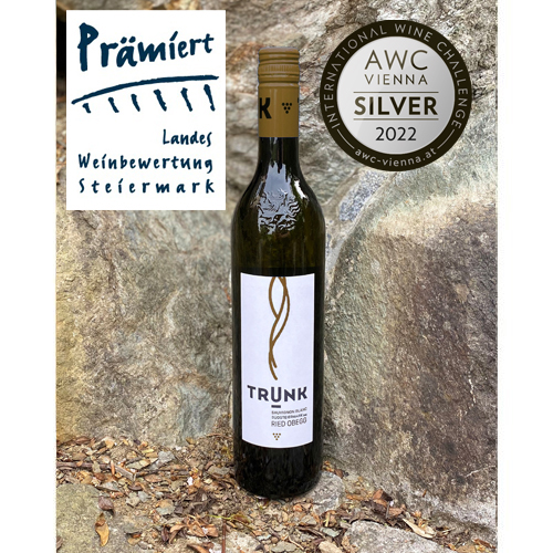 Sauvignon Blanc Ried 2019 Silber
